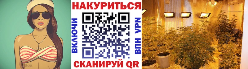 Бошки марихуана марихуана Улан-Удэ